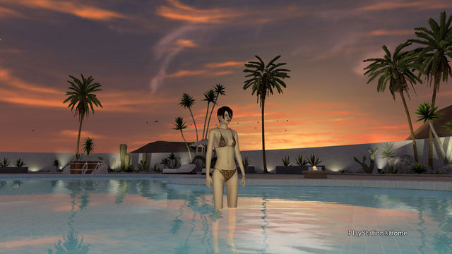 PlayStationHome Picture 2012-2-1 02-57-42.jpg